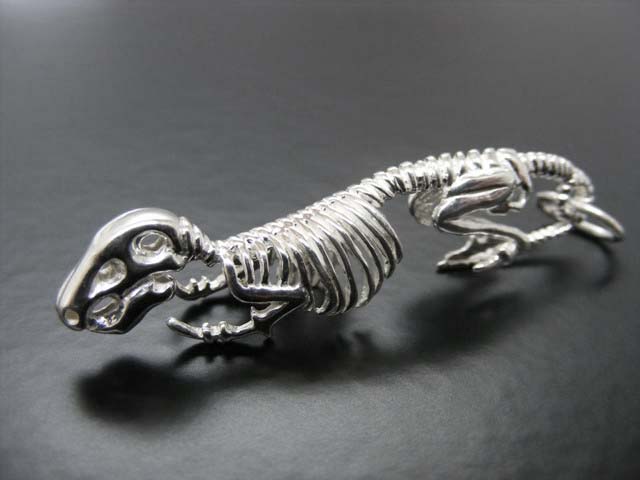 Anhänger Dinosaurier Skelett