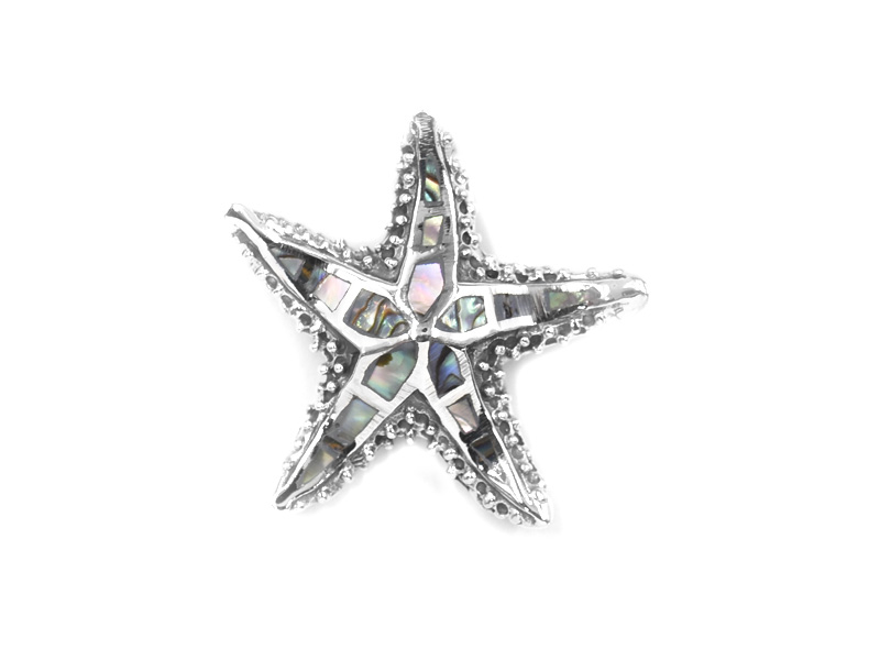 Anhänger Seestern(abalone)